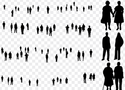 투명인간이 될 수 있을까? – 광학 위장 기술과 인체 투명화 연구