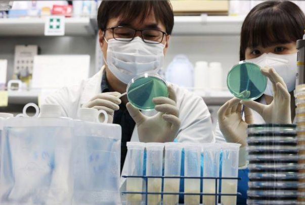 여름철 어패류 치사율 50%의 공포