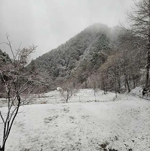 지리산오도재 힐링캠핑장