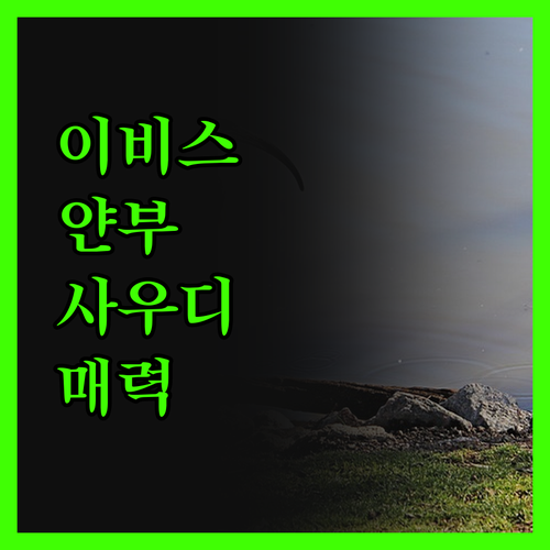 이비스 얀부에서 느낀 사우디아라비아의