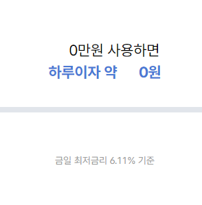 소액대출 300만원