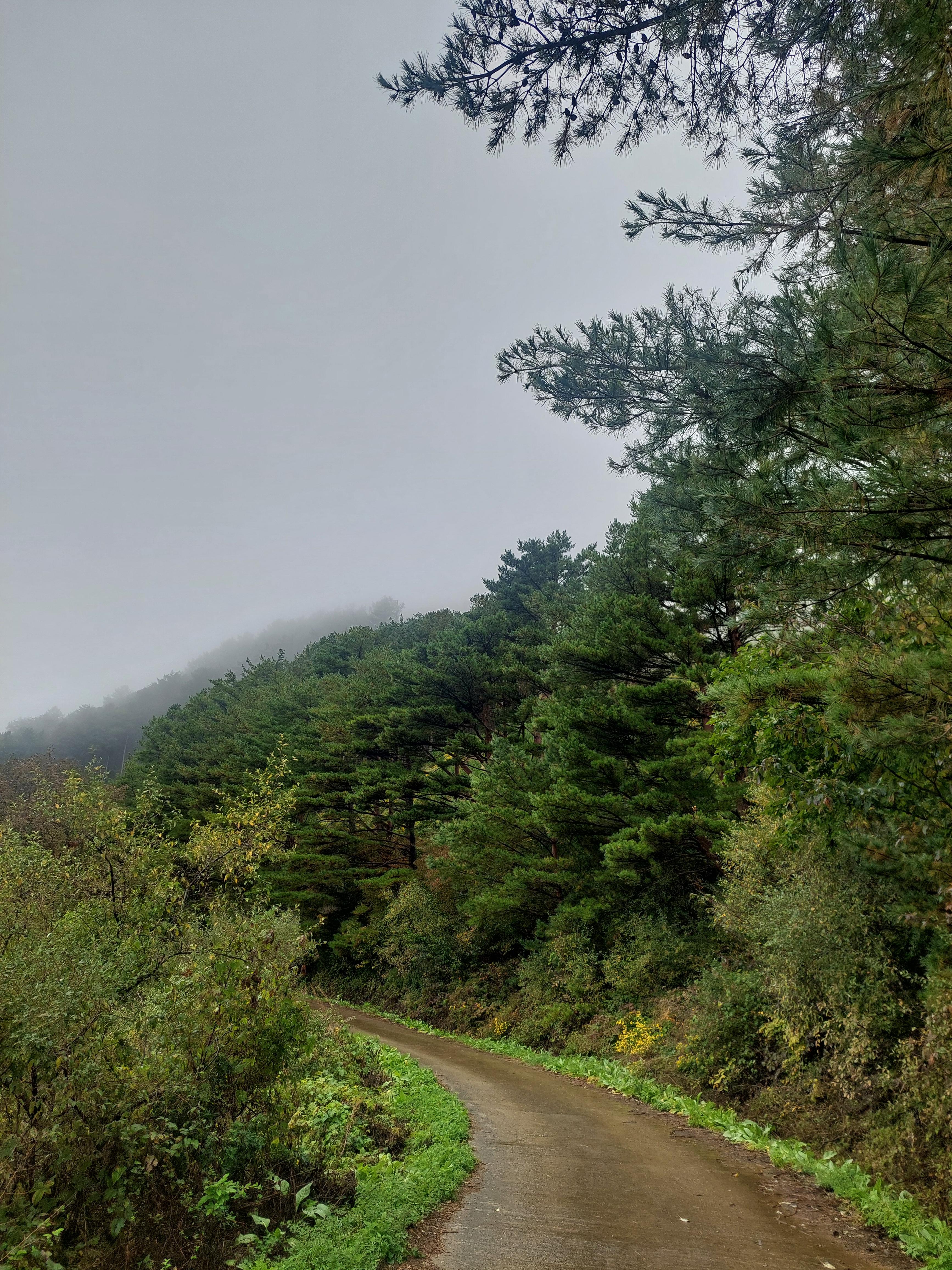 민둥산
