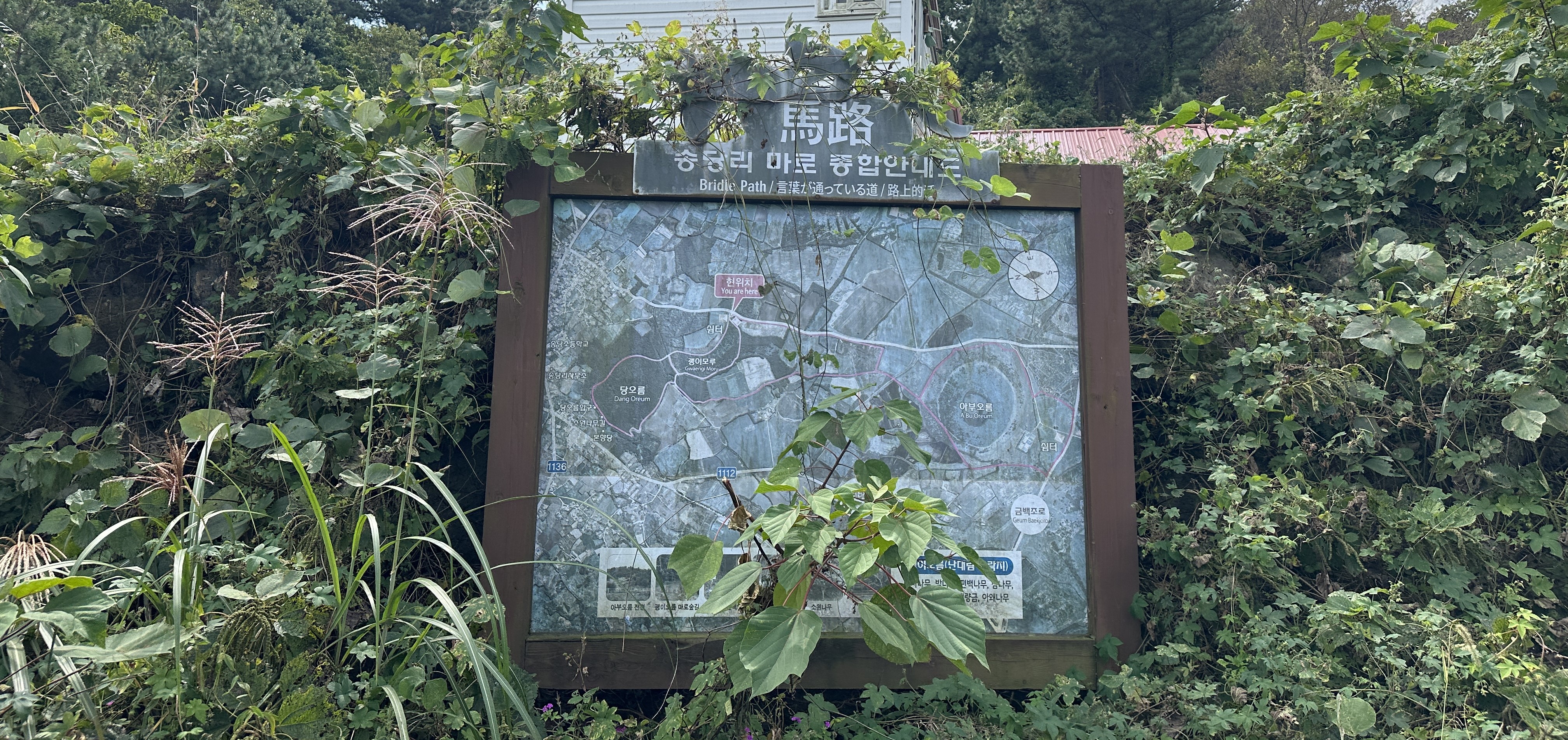 괭이모루 숲길