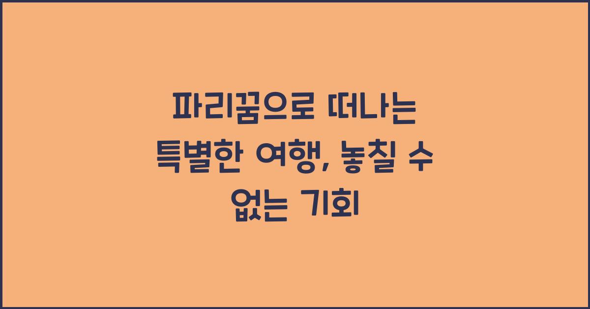파리꿈