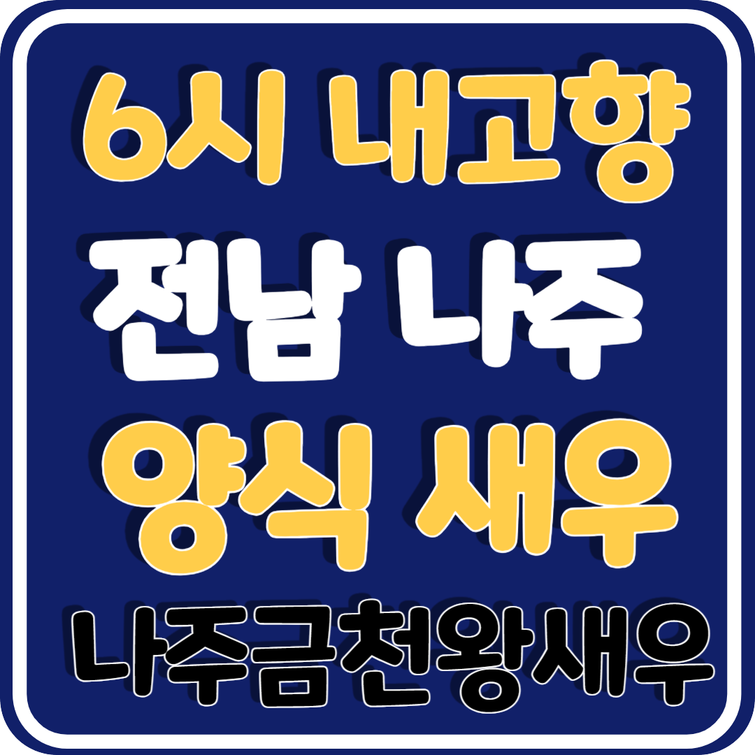 6시 내고향 전남 나주 왕새우 보리새우 주문 방법 및 나주금천왕새우