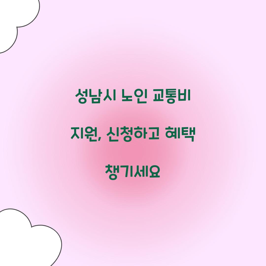 성남시 노인 교통비 지원