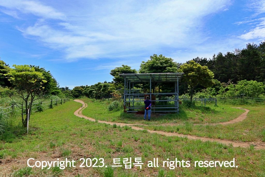 잔디의 갈림길이 보이고 그 가운데 한 사람이 서 있다.