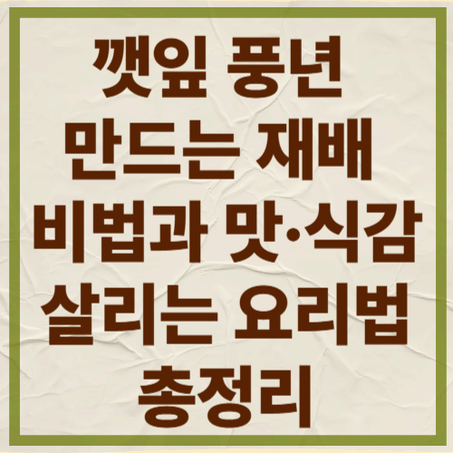 깻잎 풍년 만드는 재배 비법과
맛&middot;식감 살리는 요리법 총정리