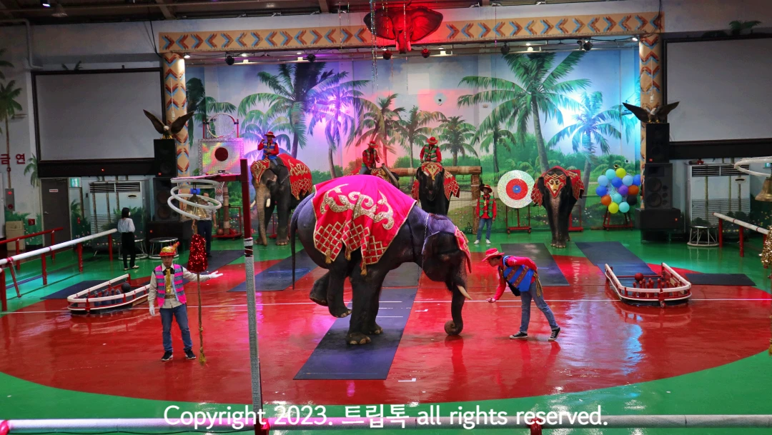 앞 두발로 서있는 코끼리