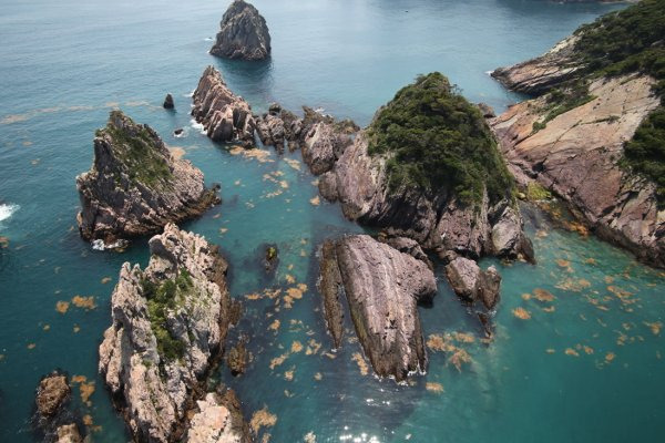 홍도 배시간표