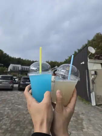 담양 대나무 축제 죽녹원