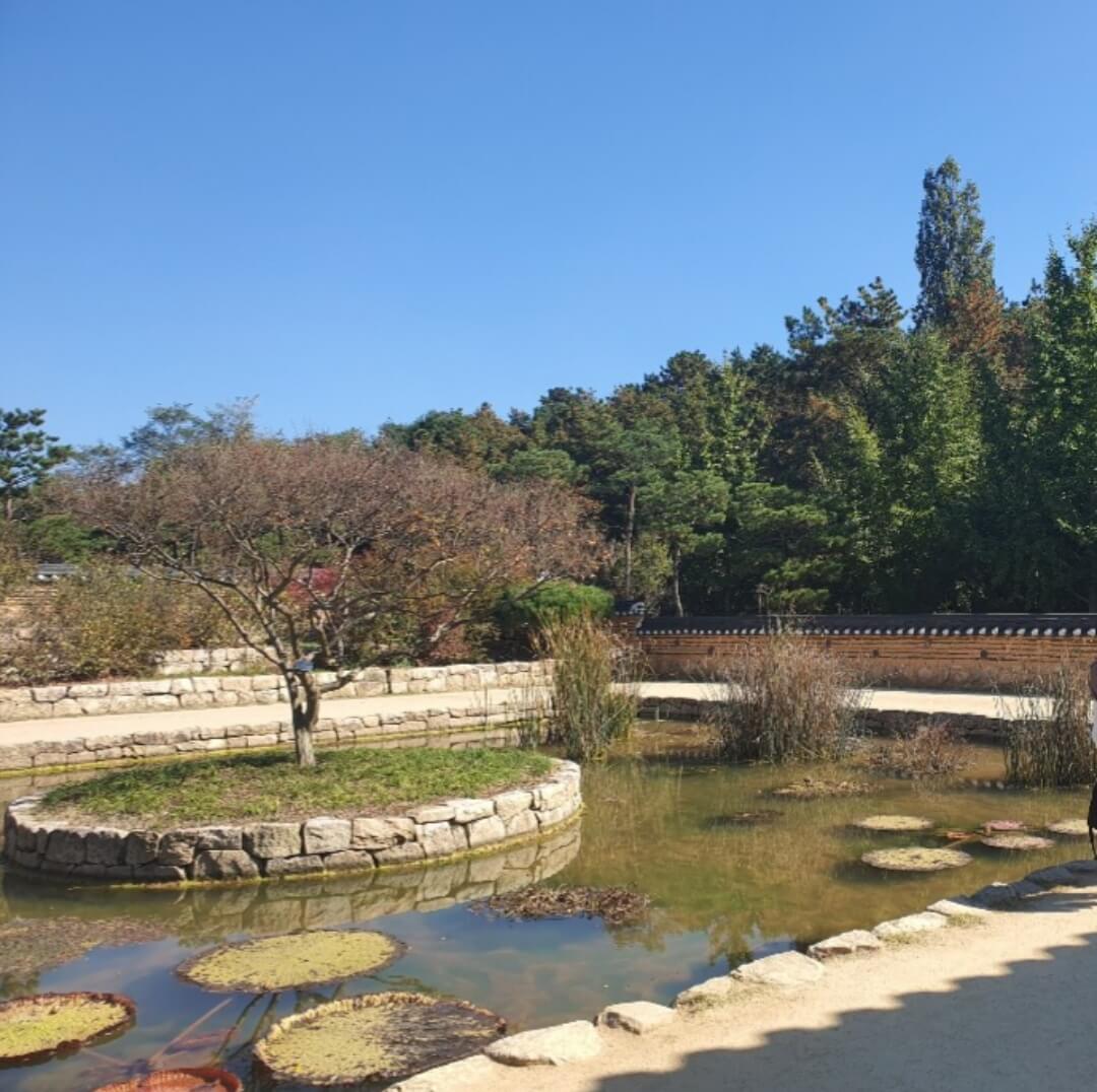 대구수목원
