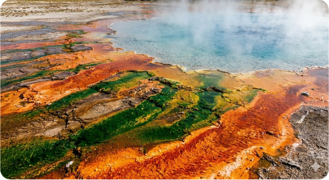 지하 담수 미생물과 지표 아래에서 유지되는 또 하나의 생명 순환
