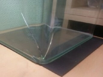 어항에-금이-가서-못쓰게됨