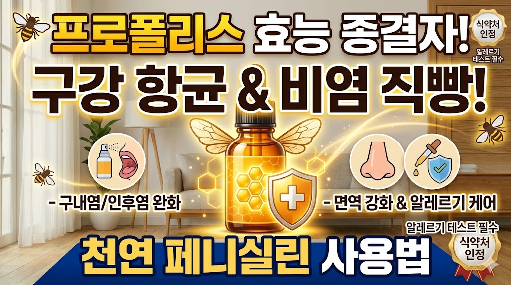 프로폴리스 효능
