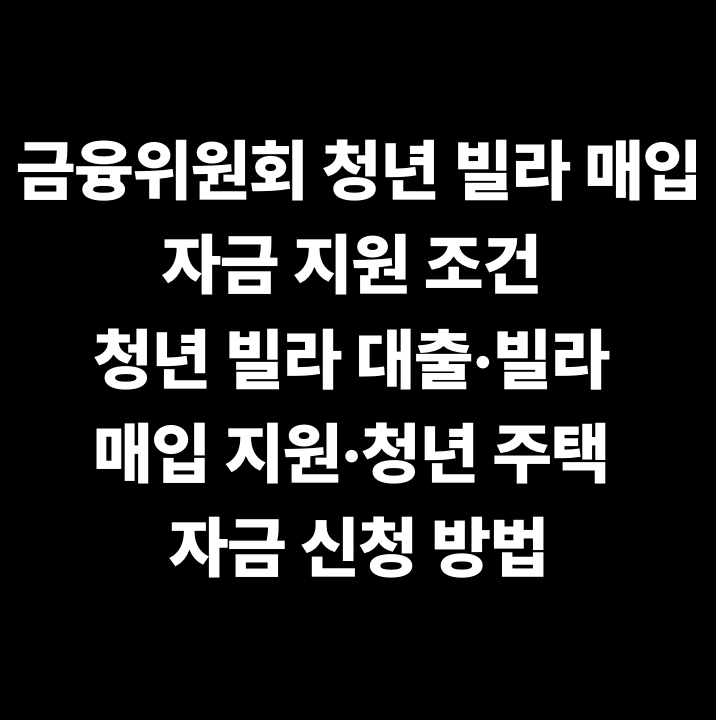 금융위원회 청년 빌라 매입 자금 지원 조건 청년 빌라 대출·빌라 매입 지원·청년 주택 자금 신청 방법