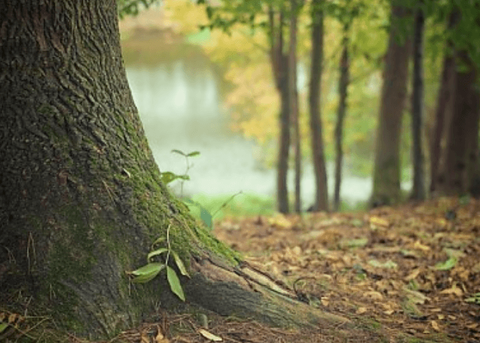 아이랑 인천 가볼만한곳 추천! 오봉산유아숲체험원 체험 프로그램 총정리
