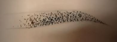 눈썹문신-수지-그라데이션