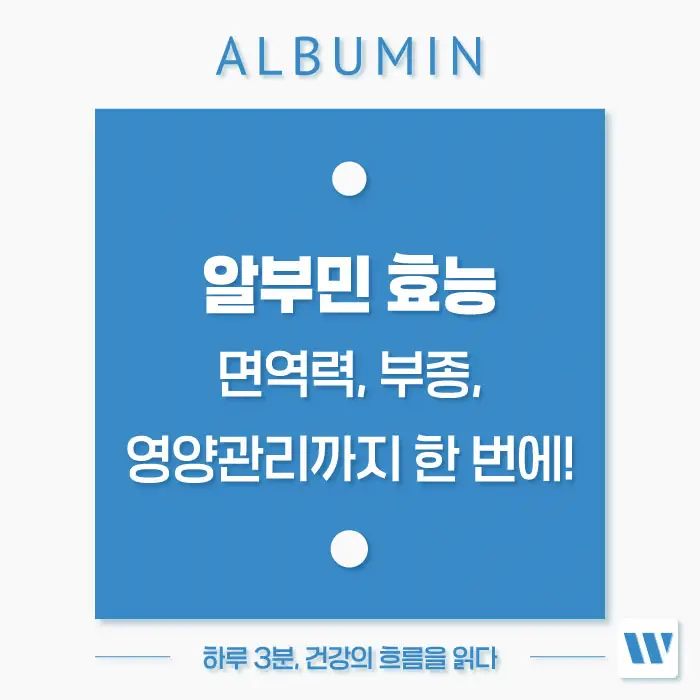 알부민 효능 효과