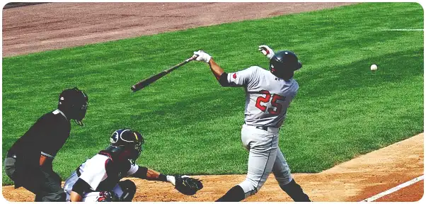 WBC와 WBSC(프리미어 12) 야구의 차이점