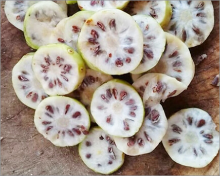 슬라이스된 노니