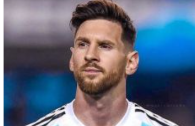 잉글랜드스위스네덜란드튀르키예