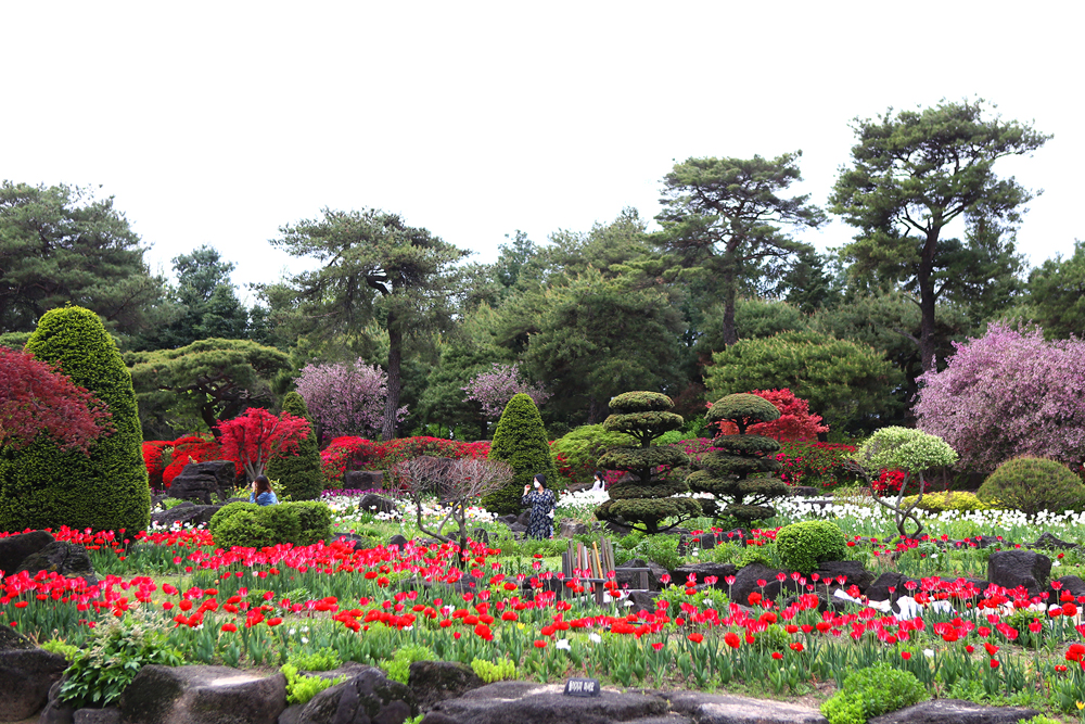 파주 벽초지수목원 :입장료&amp;#44; 가는길&amp;#44; 운영시간&amp;#44; 예약 총정리