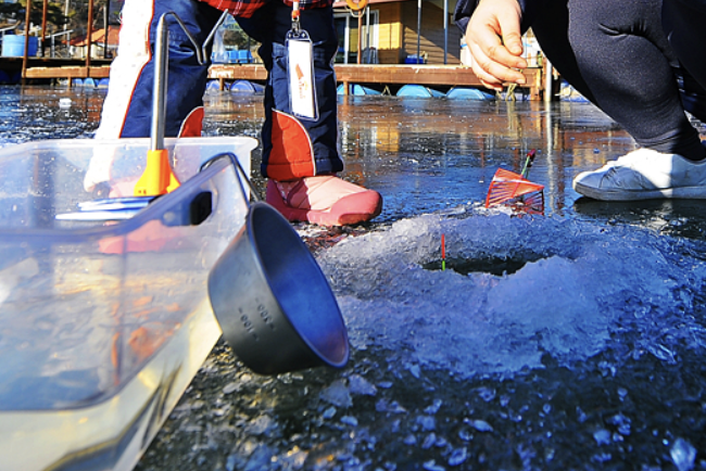강화 양오 빙어축제 입장료 일정 방갈로 예약