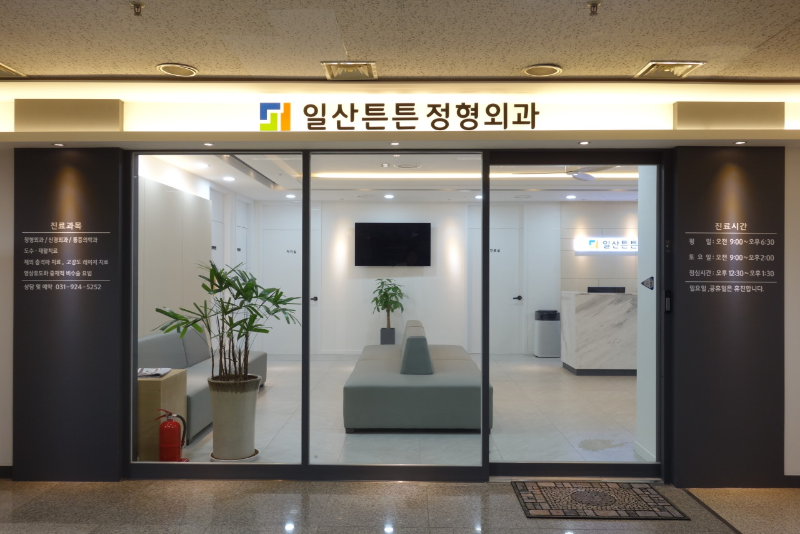 고양시 주엽1동 정형외과 유명하고 잘하는 곳 추천 TOP 5