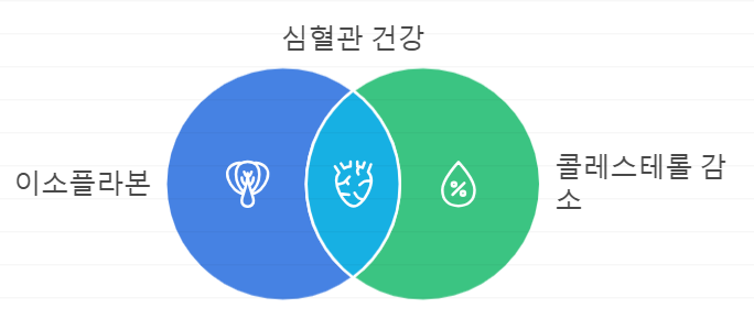 두부 효능
