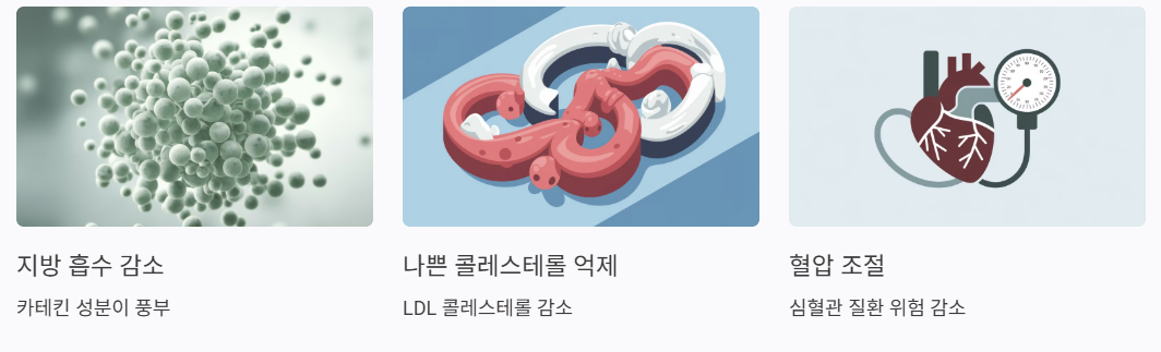 녹차 효능