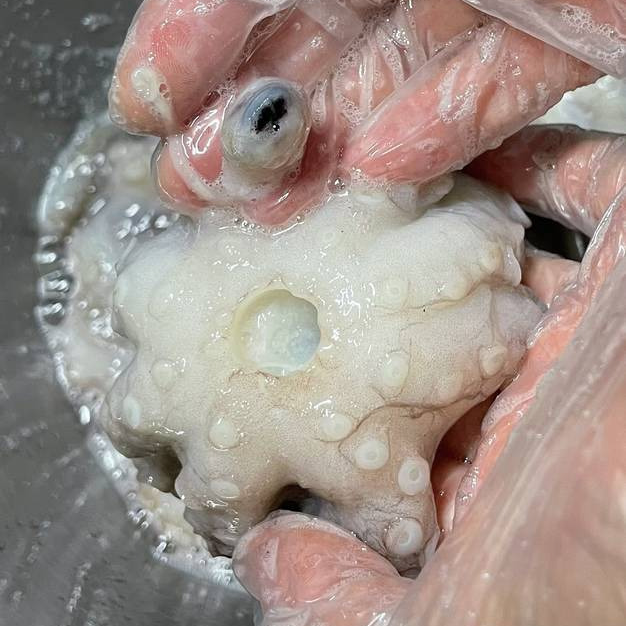 문어 삶는법