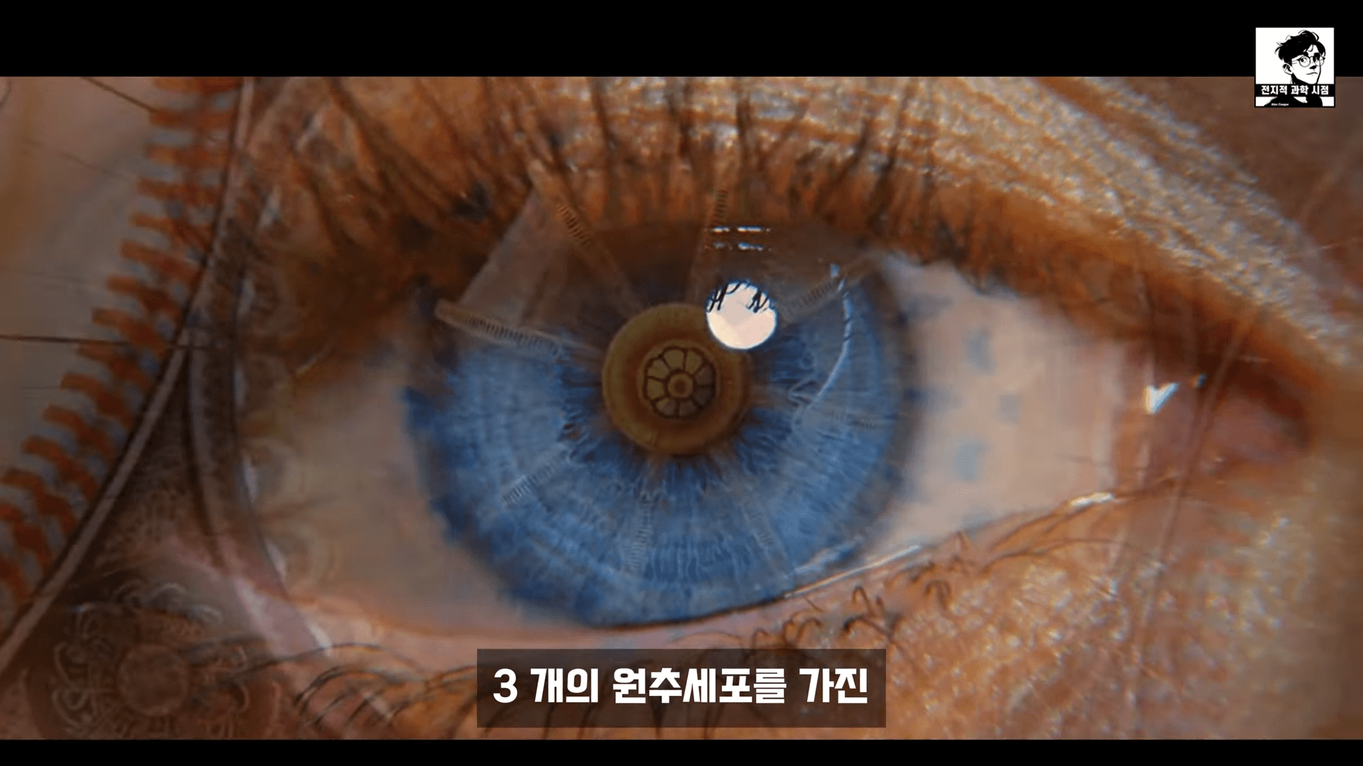 테트라크로맷