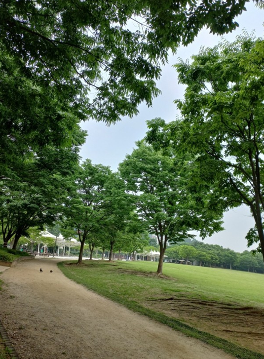 "난지천공원의 아름다운 풍경과 숲속 산책"