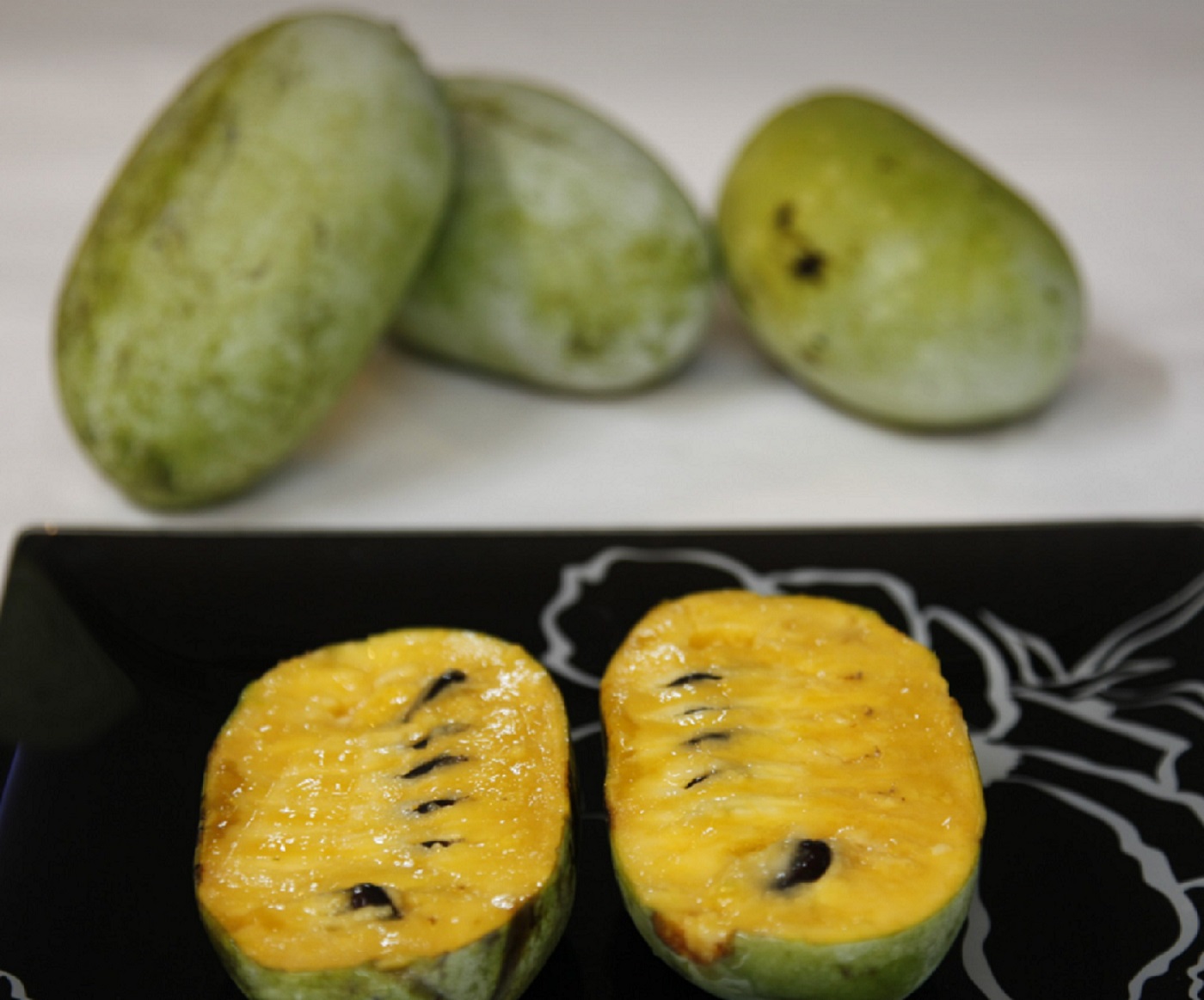 6시내고향-포포열매-논산-천연항암제