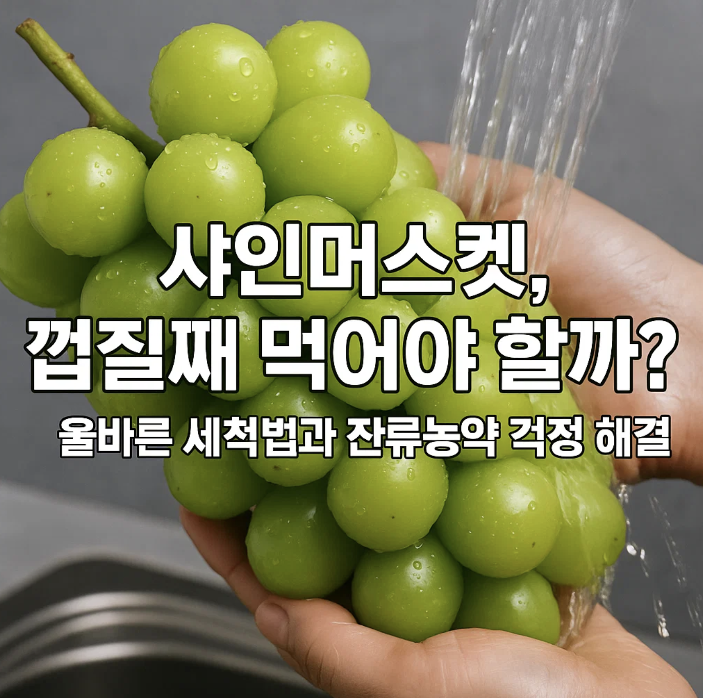 샤인머스켓, 껍질째 먹어야 할까? 올바른 세척법과 잔류농약 걱정 해결