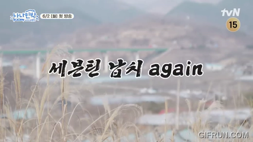 나나민박with세븐틴