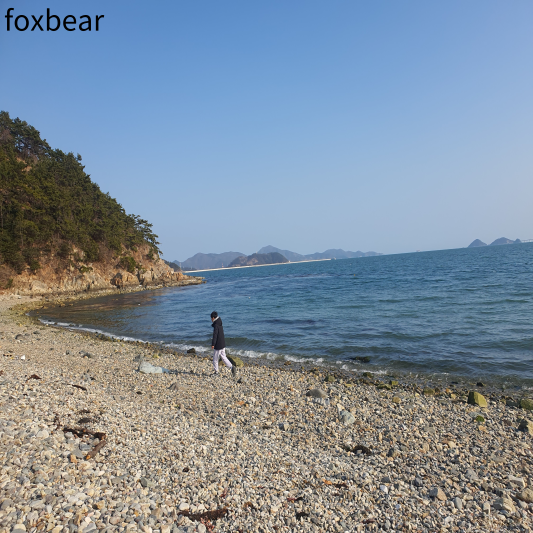 아시아나항공 마일리지