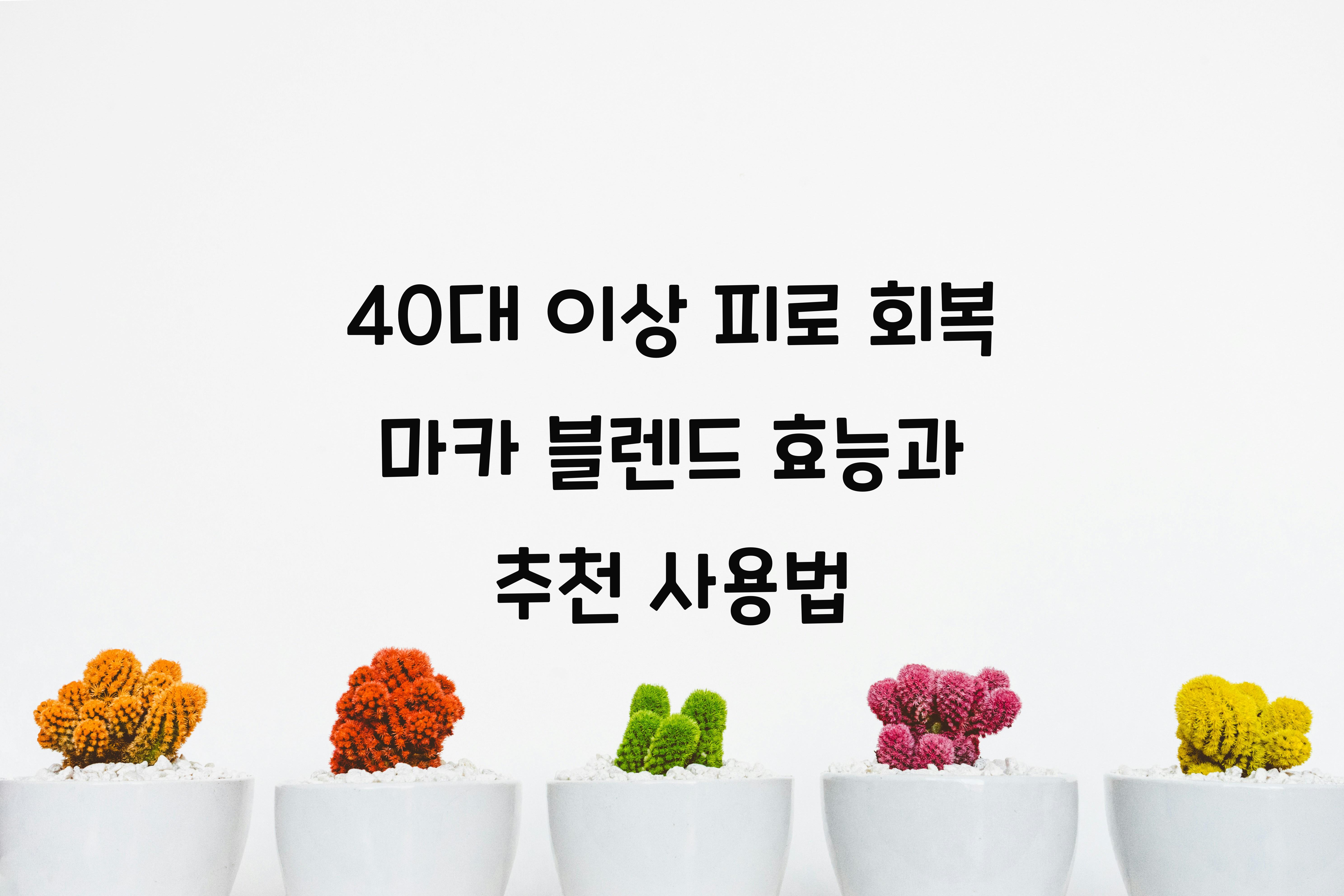 40대 이상 피로 회복 마카 블렌드