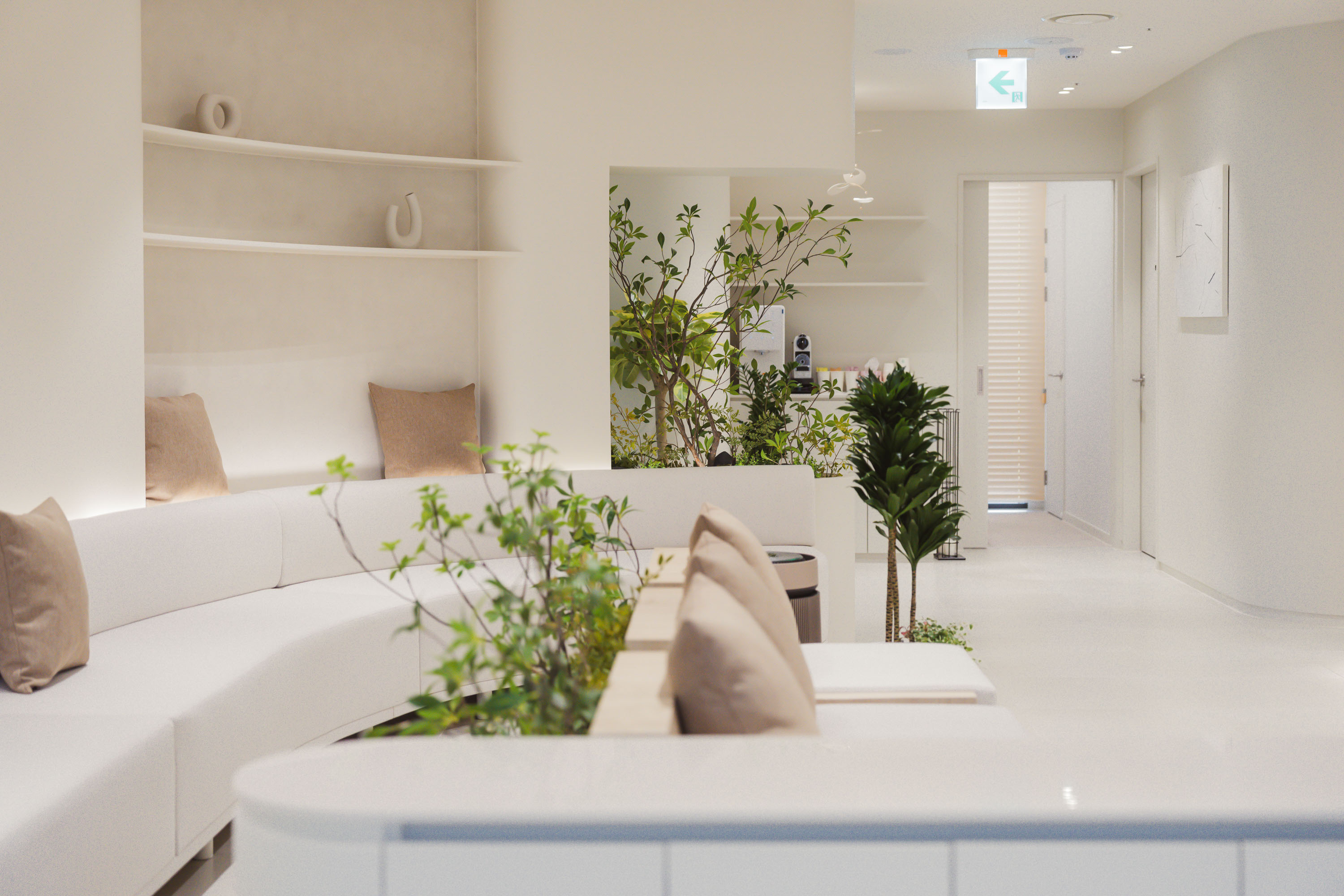 로비 곳곳에 꾸며진 식물들