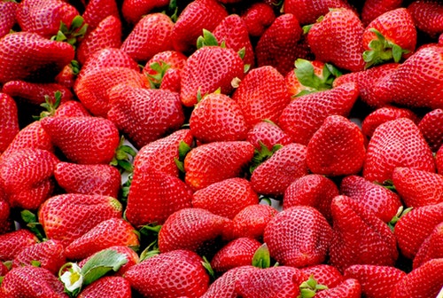 피부 노화 방지 도와주는 항산화 작용 음식 5가지