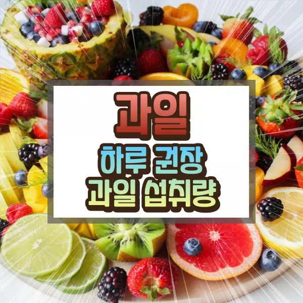 다이어트와 건강을 위한 과일