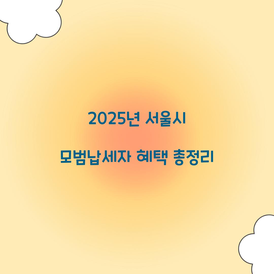 서울시 모범납세자 혜택