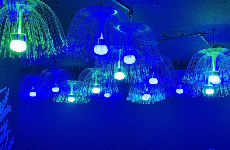 아쿠아플라넷 전경