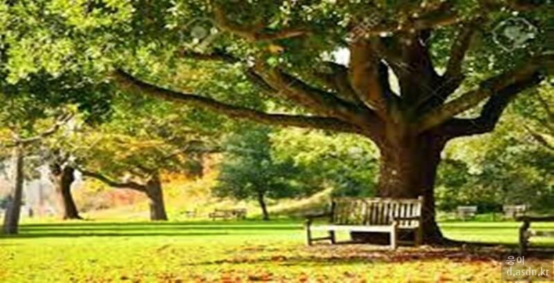 소리꿈 꿈해몽 11가지 태몽 길몽 길운 정리 열번째