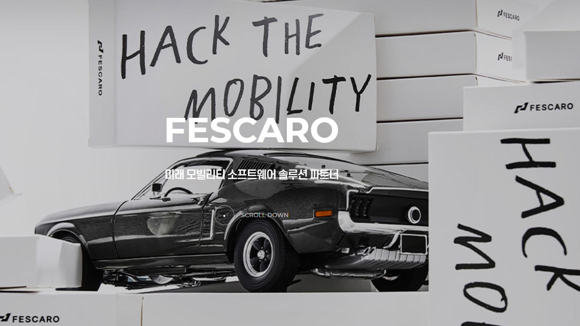 자동차 보안기업 Fescaro