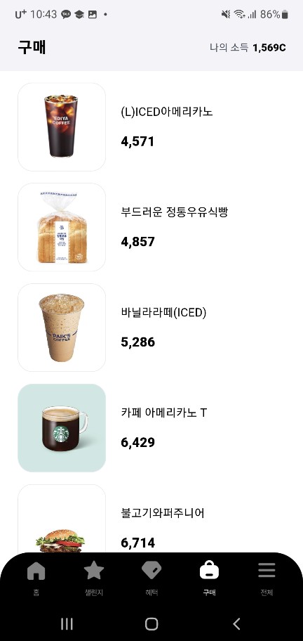 발로소득 전국민 일상지원금 