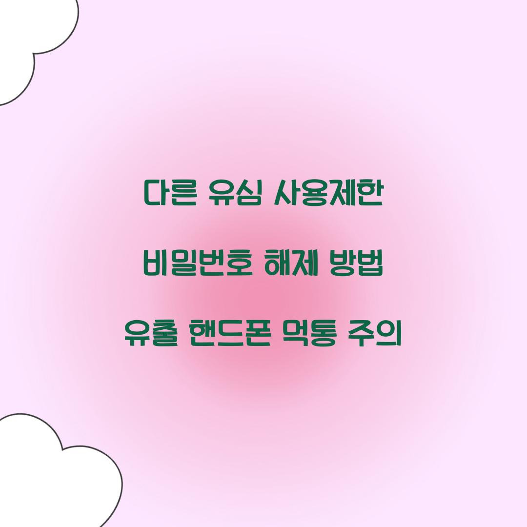 다른 유심 사용제한 비밀번호