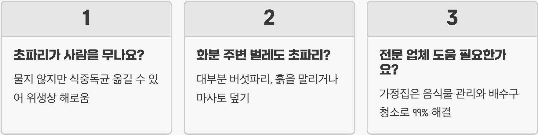 초파리없애는법 부엌에서 가장 효과적인 방법, 음식물 쓰레기 관리가 핵심인 이유