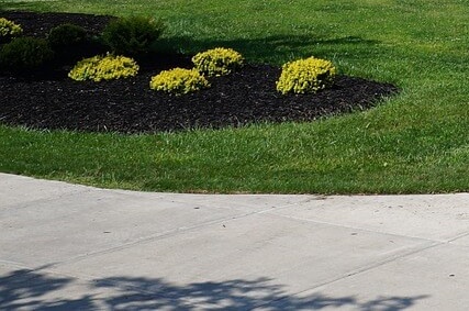 대입 수시 정시 일정